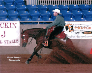 Levi Olson Performance Horses