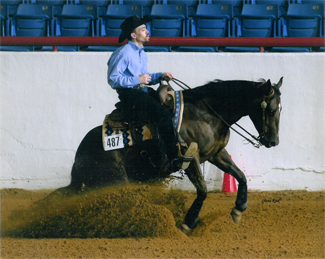 Levi olson Performance Horses